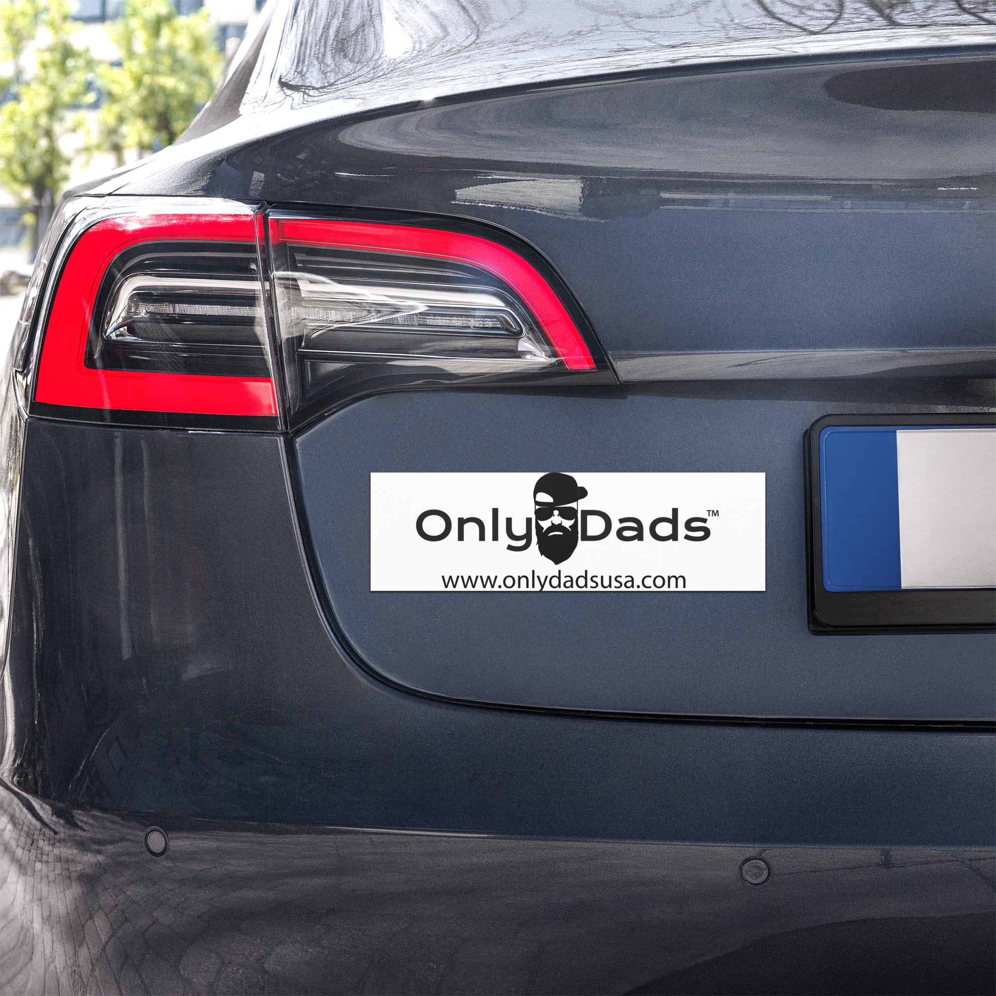 Only Dads Car Magnets – funny dad shirt and mens graphic tee from Only Dads USA